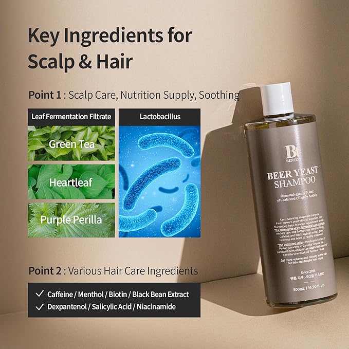 BENTON Beer Yeast Shampoo, Hair Loss Relief Biotin Shampoo for Thinning Hair – Volumizing, Regrowth Therapy, Scalp Calming – Paraben, Sulphate Free - 16.0 fl.oz.
