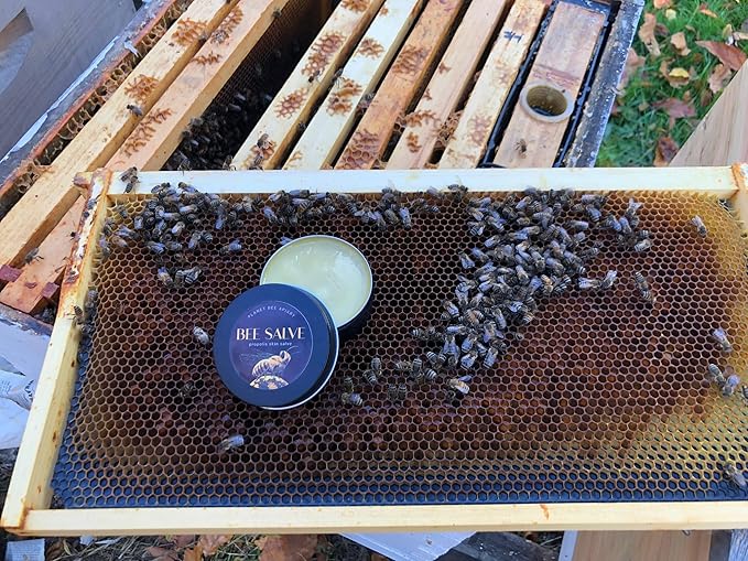 Salve, Hand Salve, Healing Balm, Dry Skin Salve with Beeswax and Propolis, Skin Repair, Moisturizer, All Natural, PLUMERA BEE SALVE 1oz