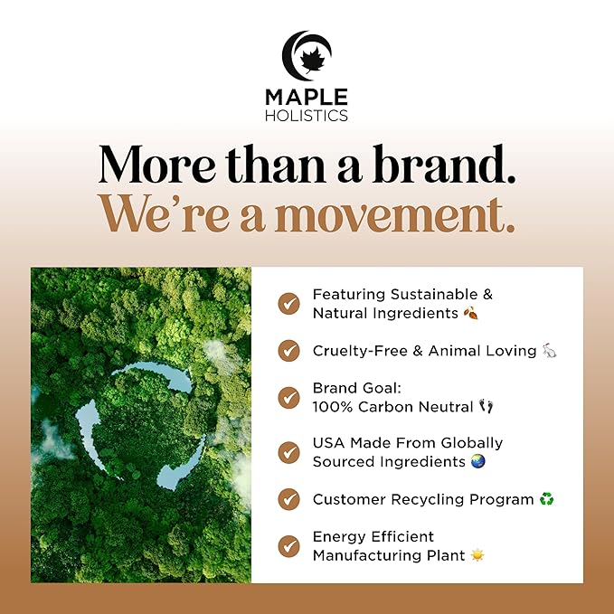 Silk Protein Conditioner for Damaged Hair - Ultra Moisturizing Conditioner for Dry Hair with Deeply Nourishing Shea Butter Argan Oil Green Tea & Aloe - Helps Define Curls & Control Frizz (12 Fl Oz)