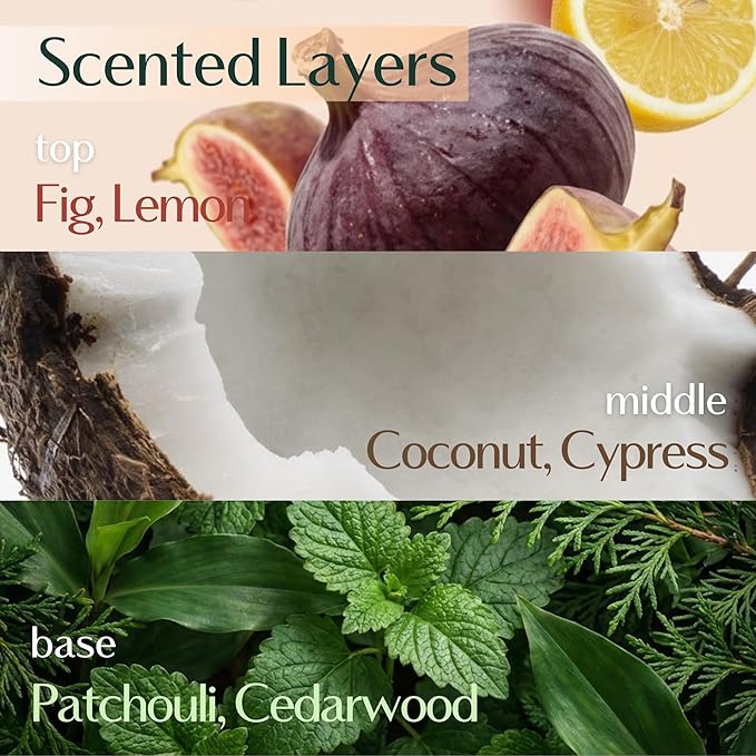 Hersteller Nearby Dive in Fig Vegan Body Lotion 10.1 fl oz - Zero-Irritation Eco-Ceramide Formula with 100% Recyclable Packaging, Non-Sticky Moisturizing