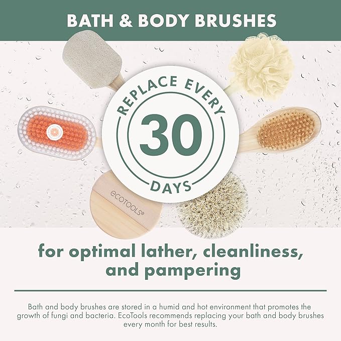 EcoTools Dry Body Brush, For Post Shower & Bath Skincare Routine, Removes Dirt & Promotes Blood Circulation, Helps Reduce Appearance of Cellulite, Eco-Friendly, Vegan & Cruelty-Free, 1 Count