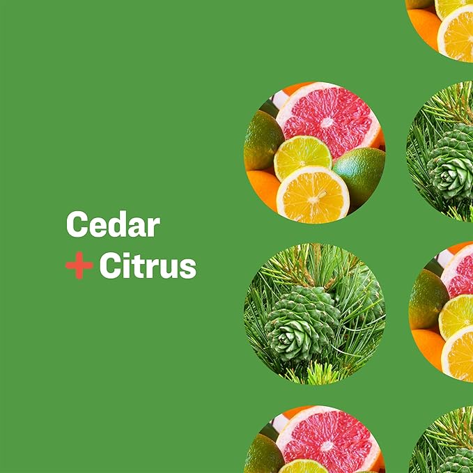 Everyone 3-in-1 Soap, Body Wash, Bubble Bath, Shampoo, 32 Ounce (Pack of 2), Cedar and Citrus, made with Essential Oils for Men and Women