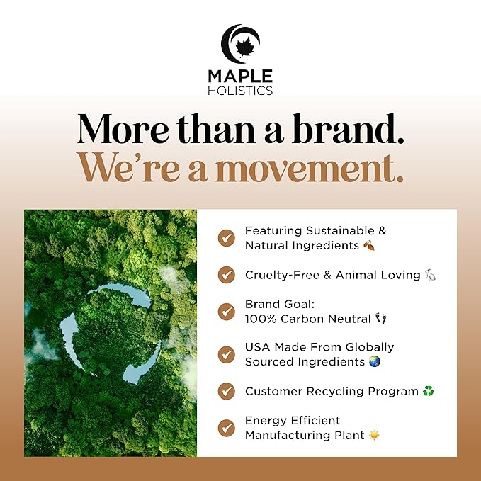 Silk Protein Conditioner for Damaged Hair - Ultra Moisturizing Conditioner for Dry Hair with Deeply Nourishing Shea Butter Argan Oil Green Tea & Aloe - Helps Define Curls & Control Frizz (16 Fl Oz)