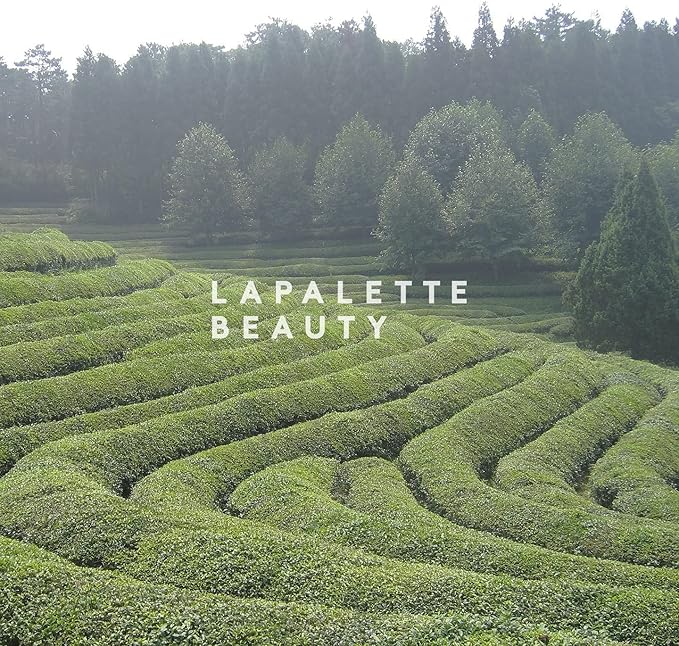 LAPALETTE Calming Green Turnover Toner | Green Tea | Hydrating & Moisturizing | Gentle Peeling with Natural Aha, Bha & PHA Ingredients | Red, Irritated Skin | Vegan | Korean Skincare 6.75fl.oz