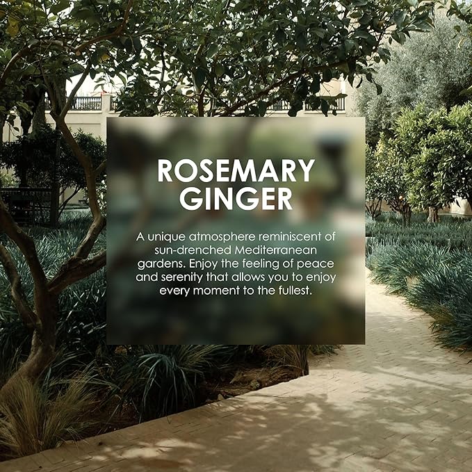 Jean & Len Silky & Rich Treatment Rosemary & Ginger, 100% recyclable aluminum tube (without lid), rich hand cream, ensures soft hands, without parabens & silicones, 2.54 Fl. Oz.