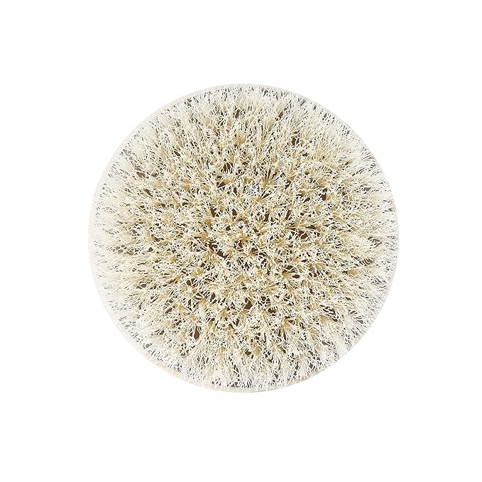 EcoTools Dry Body Brush, For Post Shower & Bath Skincare Routine, Removes Dirt & Promotes Blood Circulation, Helps Reduce Appearance of Cellulite, Eco-Friendly, Vegan & Cruelty-Free, 1 Count