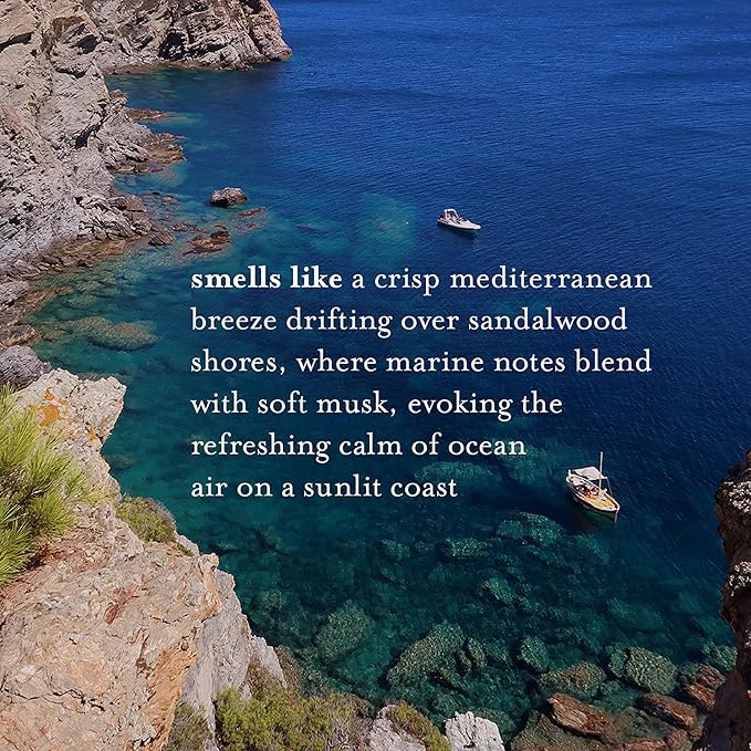 A LA MAISON de Provence Fresh Sea Salt Liquid Hand and Body Soap (Pack of 2) With Olive Oil, Coconut Oil and Vitamin E, 16.9 fl oz Each