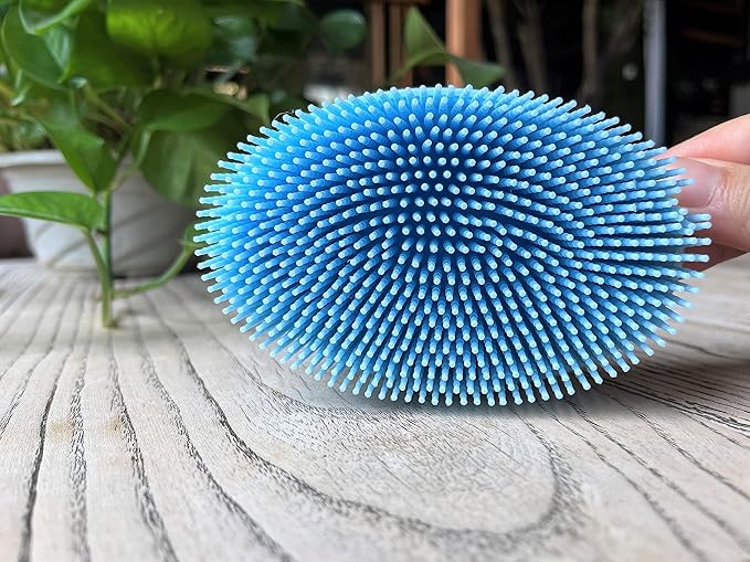 Premium Sensory Brush for Kids or Autism,Soft Silicone Body Scrubber,2 in 1 Sensory Room Occupational Therapy Sensory Brushes,Silicone Loofah,Pets Shower Brush Bath Brush Shampoo Brush(Big Oval-Blue)