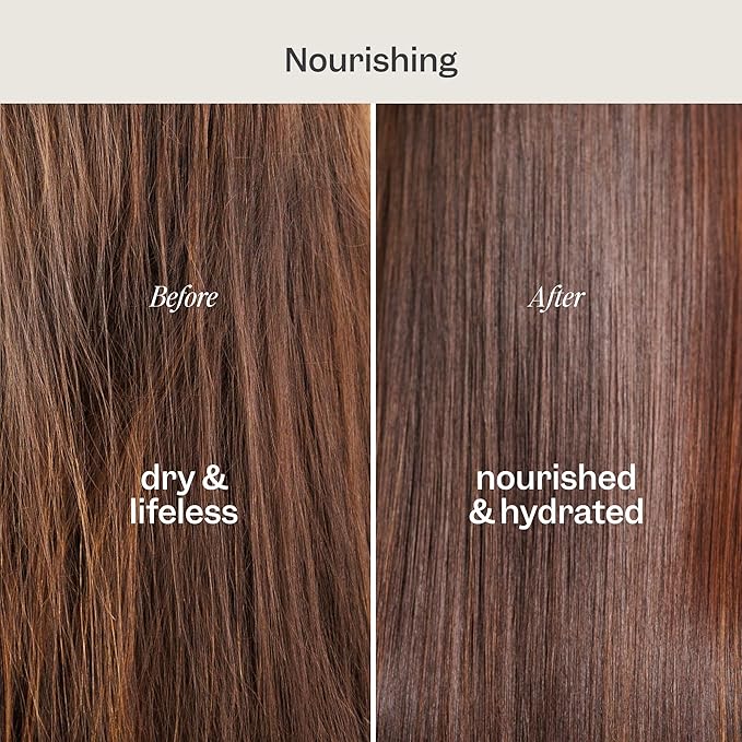 Renpure Coconut & Vitamin E Shampoo & Conditioner Set, Plant-Based – Nourishes & Seals In Moisture For Soft, Healthy Hair – For Dry, Lifeless Hair – Coconut Oil & Vitamin E - 24 Fl Oz each, 2 Pack