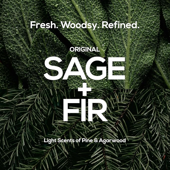 MARLOWE. No. 002 Men’s Body Lotion, Hydrating Aloe Vera Moisturizer for Dry Skin, Lightweight & Non-Oily Formula with Sage & Fir Scent, Holiday Gift, Stocking Stuffer for Men, 8 fl oz