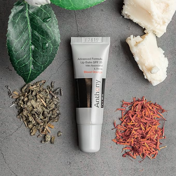 Anthony Day Cream SPF 30 Men’s Face Moisturizer with Sunscreen 3 Fl Oz 25 SPF Lip Balm with Sunscreen for Lips