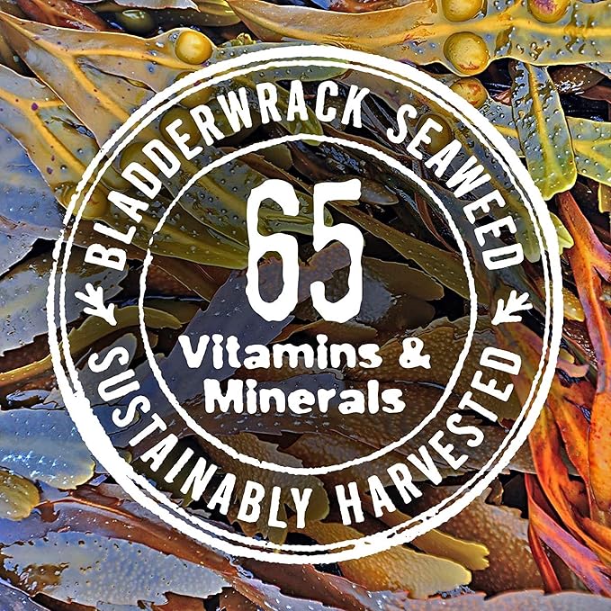 The Seaweed Bath Co. Hydrating In-Shower Body Conditioner, 8 Ounce, Coconut Water Scent, With Natural Bladderwrack Seaweed, Vegan, Paraben Free