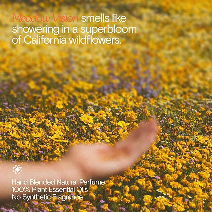 Bathing Culture, Organic Mind + Body Wash, Natural, Biodegradable, Sustainable, Vegan Personal Care, All Natural Organic Body Wash for Women and Men, 2.7 fl oz, Meadow Vision Scent, Holiday Gift Idea