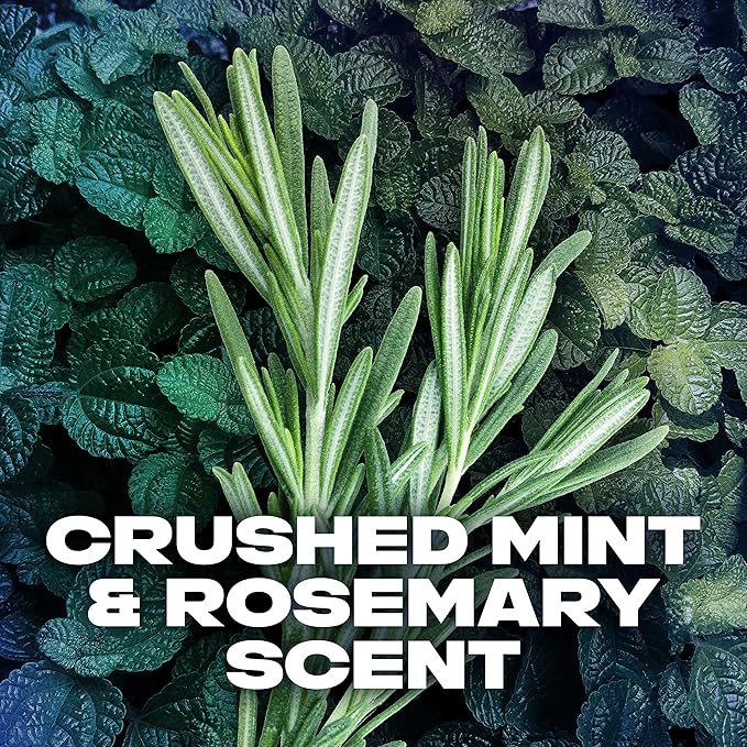 AXE Antiperspirant Deodorant For Men 48 Hour Sweat And Odor Protection For Long Lasting Freshness Phoenix Crushed Mint & Rosemary Men's Deodorant 0.5oz 36 Count